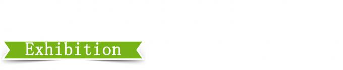 25T hoge controle nauwkeurigheid Plaat vulcaniserende pers 4