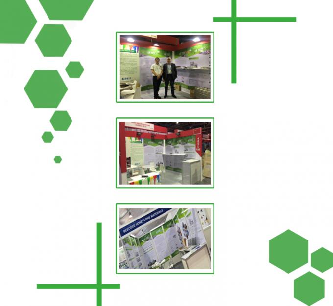 25T hoge controle nauwkeurigheid Plaat vulcaniserende pers 5