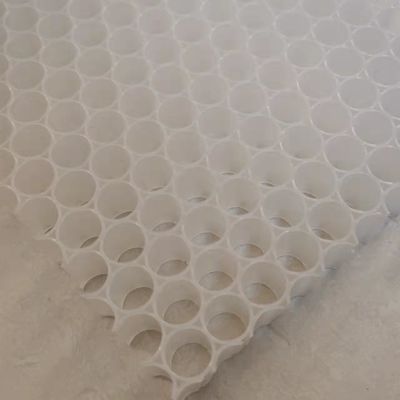 Pickleball Paddle PP Plastic Honeycomb Core 1220x2440mm