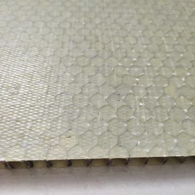 Lichtgewicht FRP honingraat sandwichpaneel 1000x2000 mm
